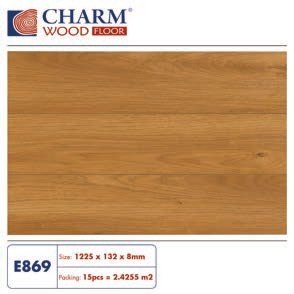 Sàn gỗ Charmwood cốt xanh 8mm mã E869
